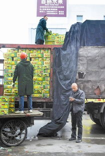 蓉城智慧物流新篇章 成都科技企业推出货运App，货车司机手机抢单助力农副产品高效购销