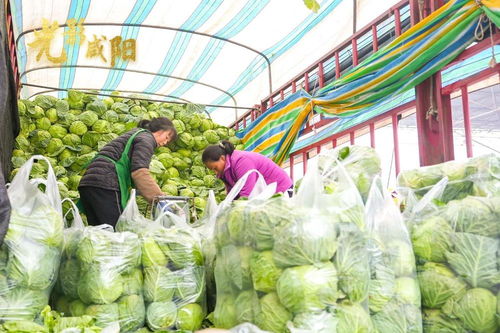 年货丰 物价稳 消费火——咸阳年味“满格”来袭