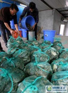 农副产品自产自销新模式 天河市场助力批发价优势，开启购销新篇章