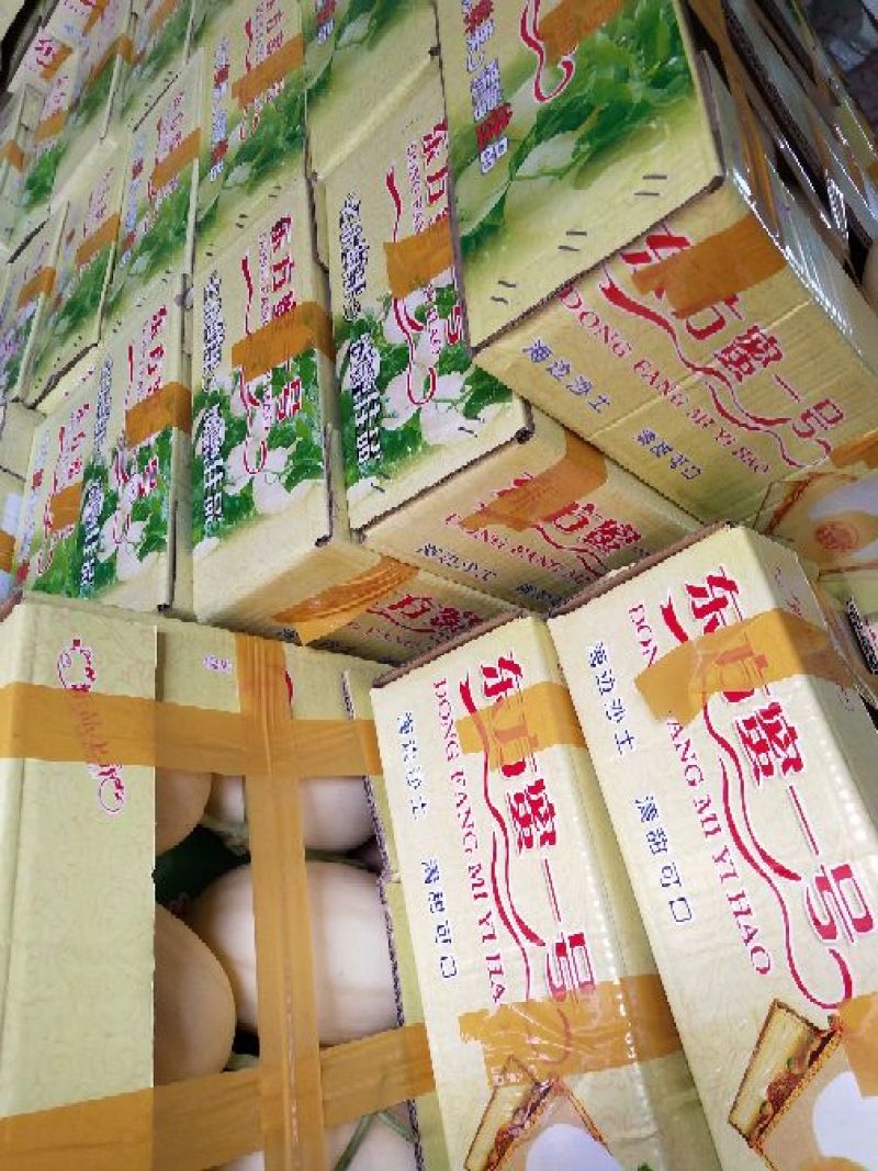 山东聊城莘县东方蜜1号甜瓜 1.89元/斤的甜蜜商机，批发市场为何趋之若鹜？