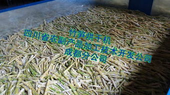 宜宾盐渍笋干烘干机 从传统晾晒到智能烘干的技术革新