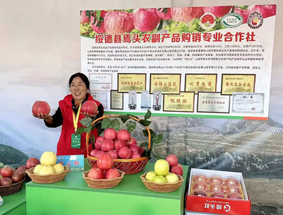 陕西绥德 “小苹果”书写高质量发展“大文章”