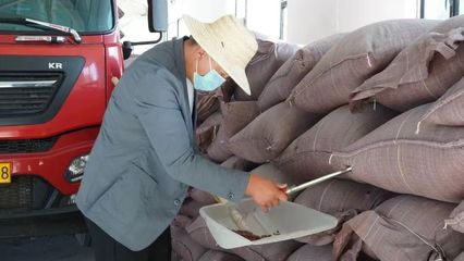 哈巴河县合作社喜迎二十大，打瓜产销旺助力乡村振兴